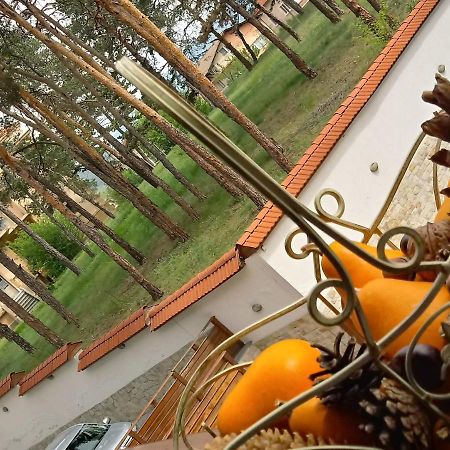 Апартамент Allegri Padrini Комплекс Вели Хилс Welingrad Exterior foto